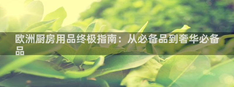 鸿运国际官网hv00|欧洲厨房用品终极指南：从必备品到奢华必备
品